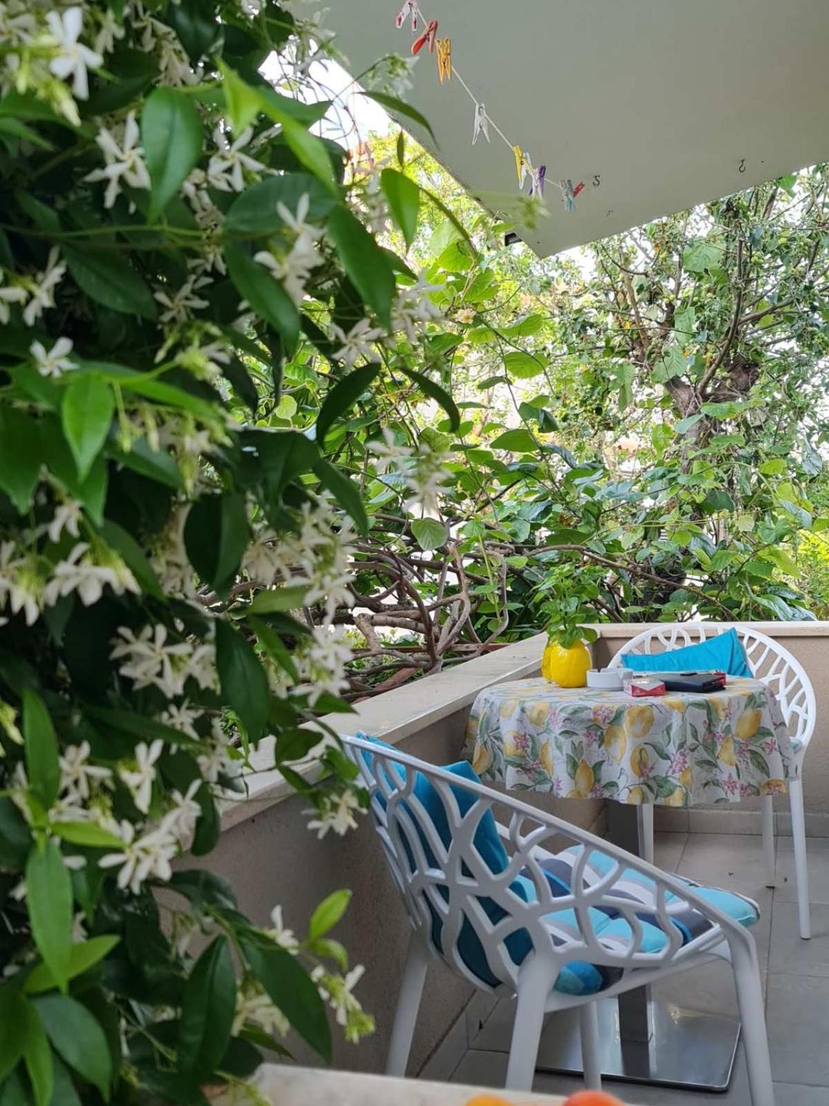 Luxury New !!! Apartment One And Only With Terrace & Free Bikes Poreč Exterior foto