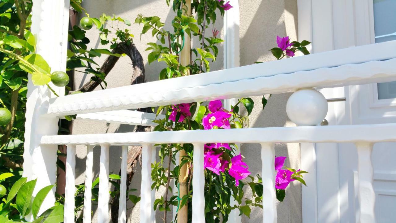 Luxury New !!! Apartment One And Only With Terrace & Free Bikes Poreč Exterior foto